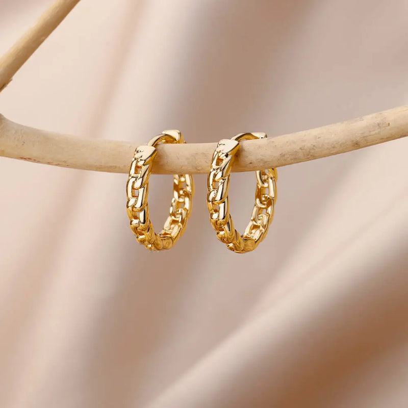 Stainless Steel Hoop Earrings
