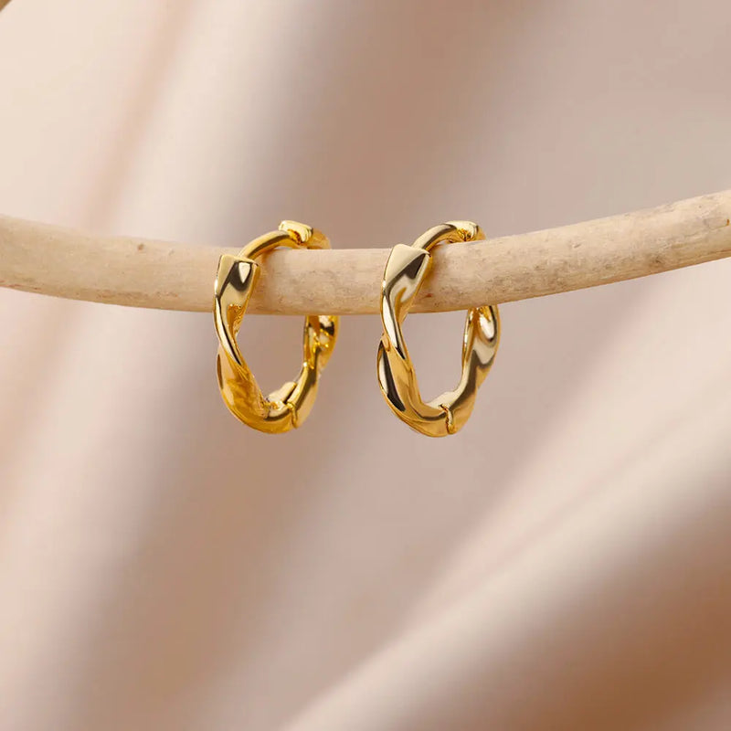 Stainless Steel Hoop Earrings